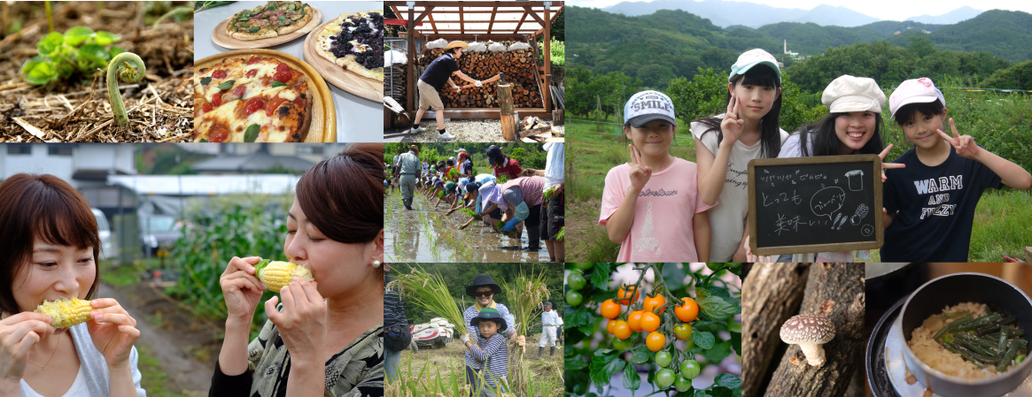神奈川の体験農園で果物狩りや・収穫体験などの農業体験が楽しめます