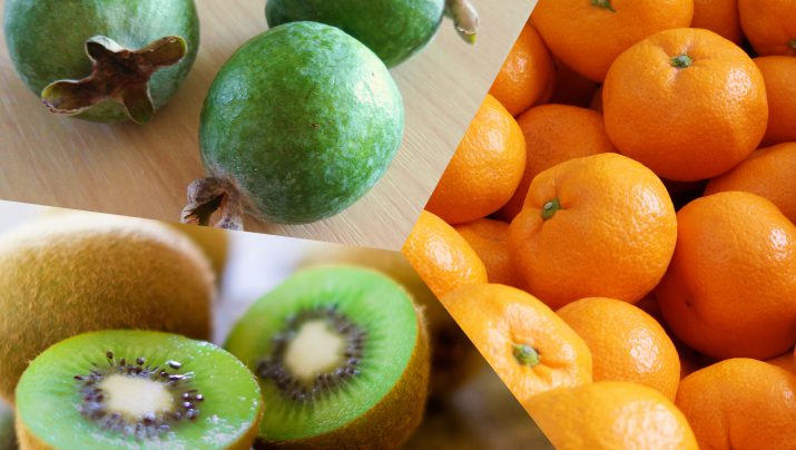 キウイフルーツ・みかん・フェイジョア～秋の絶品国産フルーツ収穫体験～