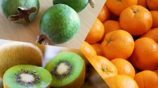 【体験レポート】 キウイフルーツ・みかん・フェイジョア～秋の絶品国産フルーツ収穫体験～