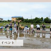 【体験レポート】田植えイベント