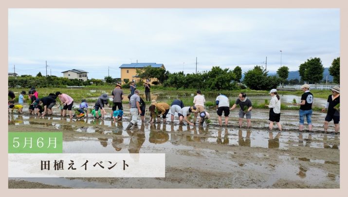 【体験レポート】田植えイベント