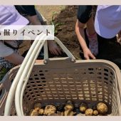 【体験レポート】じゃがいも掘りイベント