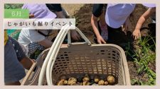 【体験レポート】じゃがいも掘りイベント