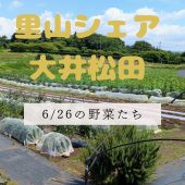 【お知らせ】
