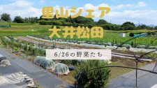 【お知らせ】