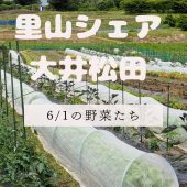 【お知らせ】