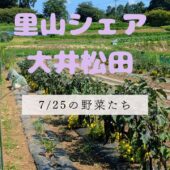 【お知らせ】
