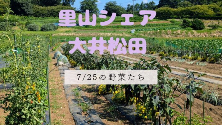 【お知らせ】