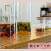 【体験レポート】梅シロップ作りイベント