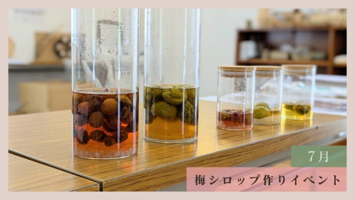 【体験レポート】梅シロップ作りイベント