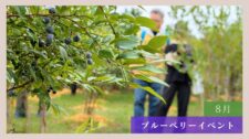 【体験レポート】ブルーベリーイベント