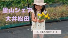【お知らせ】