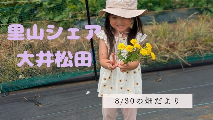 【お知らせ】