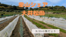 【お知らせ】