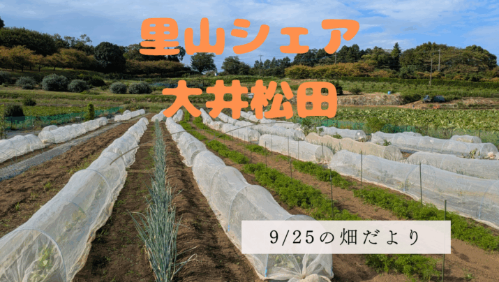 【お知らせ】