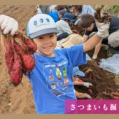 【体験レポート】さつまいも掘りイベント