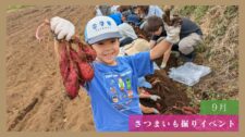 【体験レポート】さつまいも掘りイベント